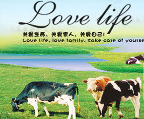 ��(��i)�Ø�(l��)�I(y��ng)�B(y��ng)�׷ێ��������������L(zh��ng)