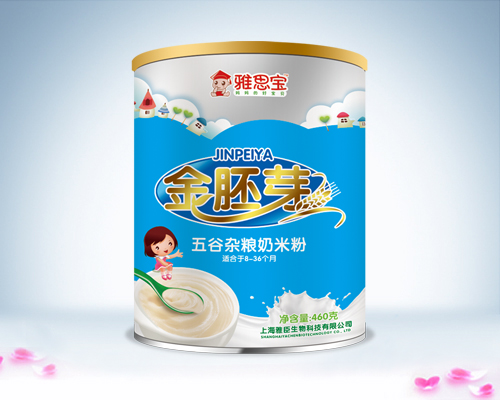 雅思寶金胚芽五谷雜糧奶米粉