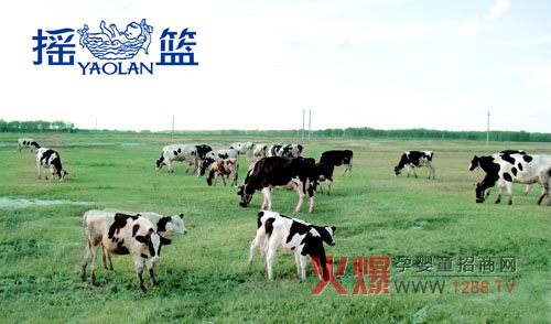 ����Դ��u�@�̷۸�Ʒ�|(zh��)������(ji��n)�̷���