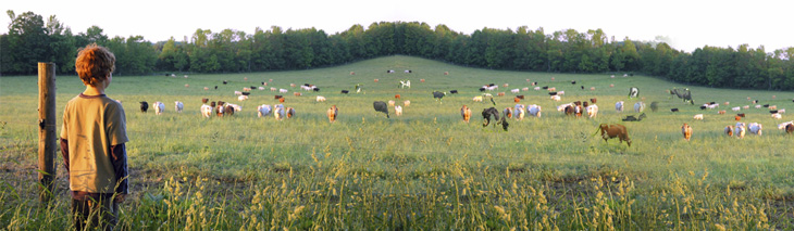 ��(��i)ޱţ���׃��䷽�̷�