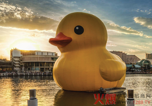 ���S������Ƭ��ʹ��