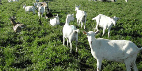 ����������Դ����������������������