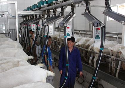 �������