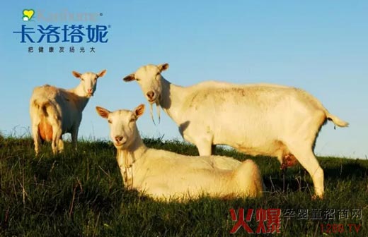 �����������̷� �����������I(l��ng)Ʒ��