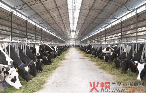 ��V�x������ţ����Ʒ���M(f��i)�Ј���  �xɽ��(chu��ng)�¸�Ч����ģʽ��(y��ng)��(du��)�̘I(y��)�³��B(t��i)