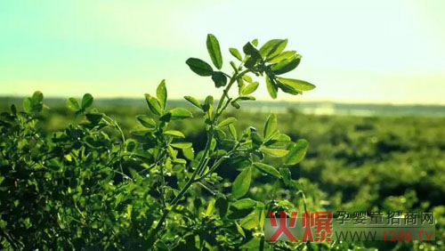 �xɽţ�̟���ӛ�������������� �����֎ײ���