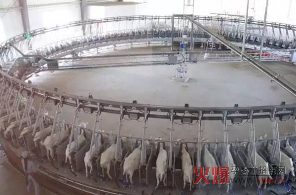 �Pɽ��I(y��)���B(t��i)���� ���޴�Ҏ(gu��)ģ�����a�I(y��)朻��A