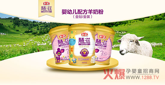 ������ʲô���ۺȺ��ϻ������̷���