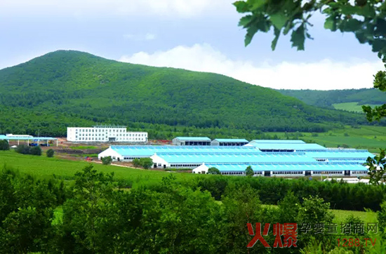 �l(f��)չ��(sh��)�w��(j��ng)��(j��)�����_(d��)ɽ���Є�(d��ng)��