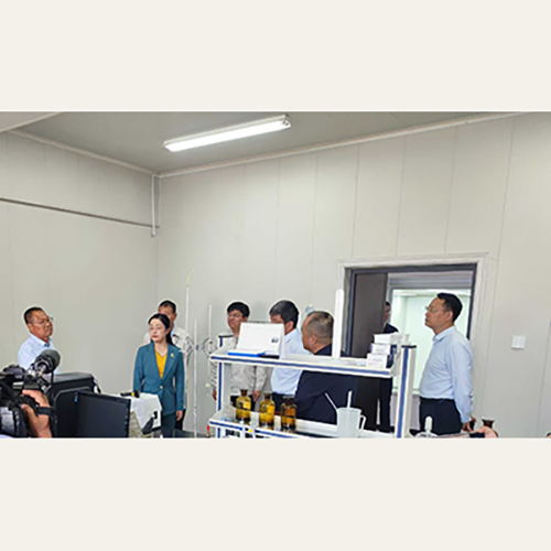 2.5.500.png 2.5.500.png