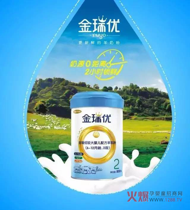 ���̷�+OPO�����ж����