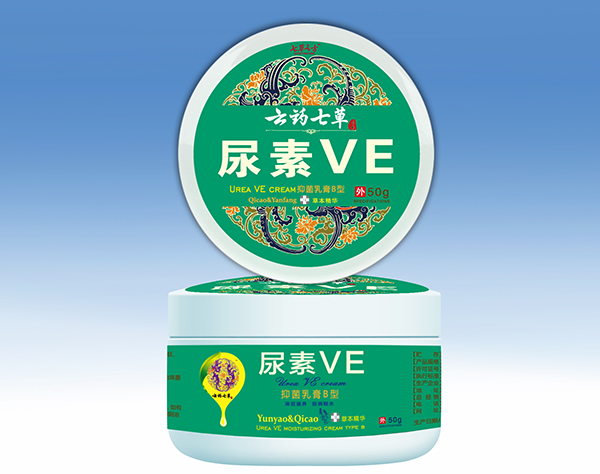 ��ˎ�߲�����VE �\(ch��ng)�д�����(j��ng)�N��