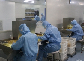  ���a܇�gչʾ