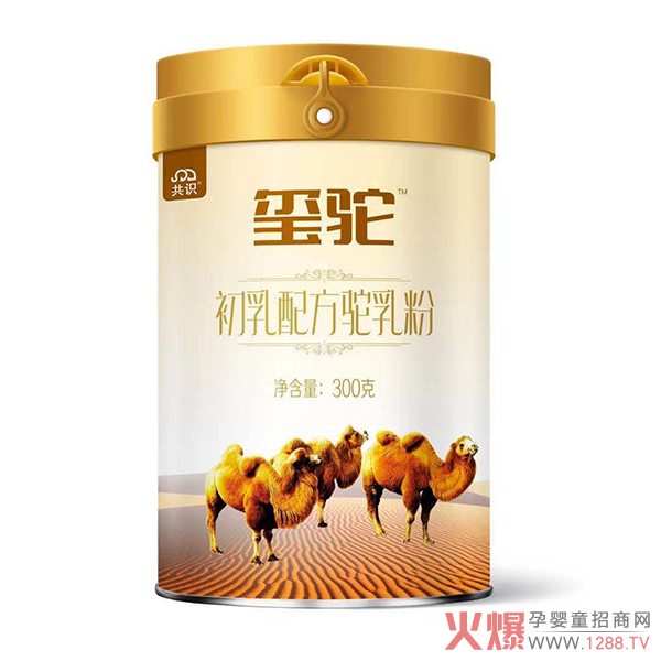 2020�Ă�(g��)���ӵ��̷ۺ��u(m��i)��׌�t����۽o��𰸣�