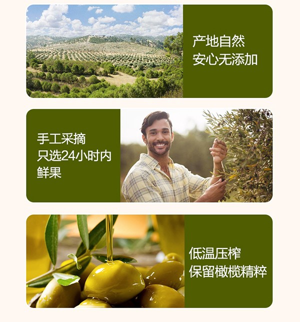 植物主義橄欖鮮果按摩油 (5).jpg