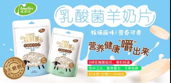 ����������Ƭ��������ʲôħ����������