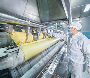  ��������S29