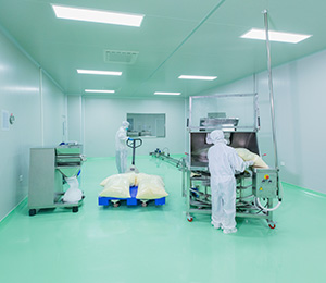  ��������S1