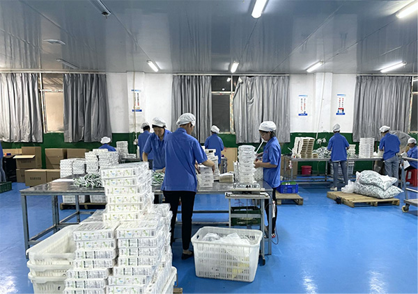 車間展示.jpg 車間展示.jpg