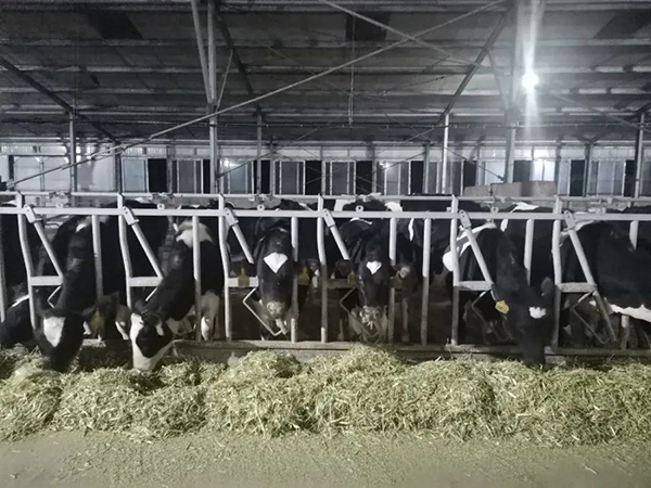 圖片3.jpg 圖片3.jpg