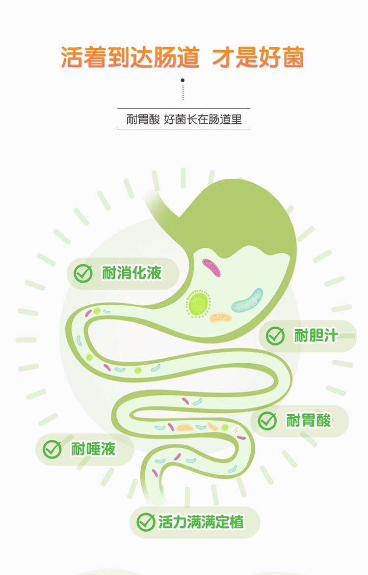 康葉消化酵素益生菌詳情 (3).jpg