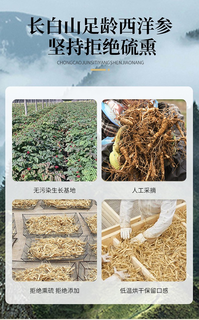 仕強戈樂家老鋪蟲草菌絲體洋參膠囊詳情 (6).jpg