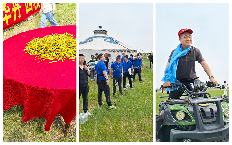 游戲.jpg 游戲.jpg