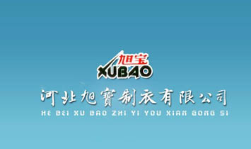 �ӱ����������޹�˾