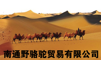 ��ͨҰ��Q(m��o)�����޹�˾