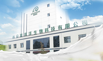 ����ϲ��������Ƽ����޹�˾