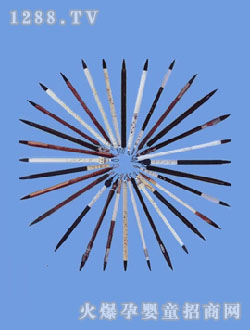 ��(��i)��̥ë�P