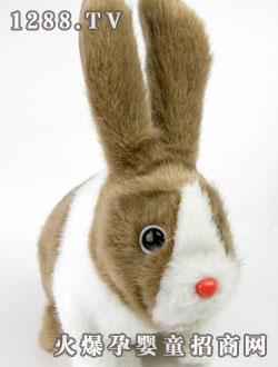 ��֮���L����