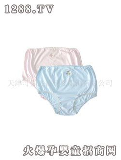 �ɐ���� L2101�ЋD��ѝ�p��