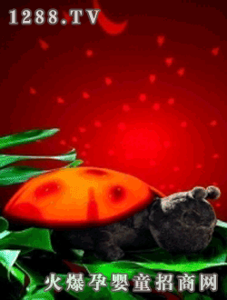 ����ؐ��������