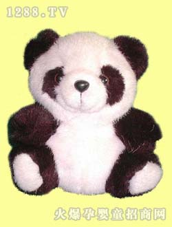 ������ͨë�q��؈