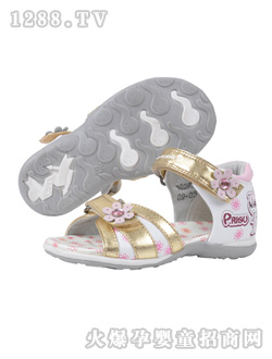 ����ʿ��ɫ������Ь