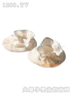 �ۋ�ʊA�z�_��