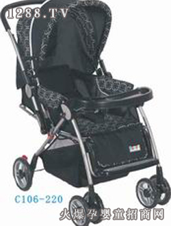 ����?q��)����׃����?ch��)C106-220