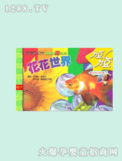 �����D��-��������