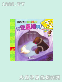 �����D��-��ס�@�ﰡ