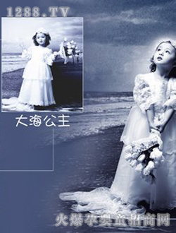 ����������еĹ���