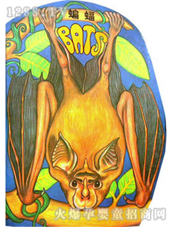 С��̖�����L(f��ng)�����w�������ģ�