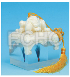 ��(��i)��̥ë���������T��