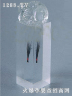 ��(��i)��̥ë�������