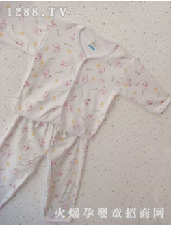 �v�w�냺��(n��i)��