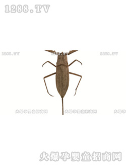 �����ٿƿ�֮���xƪ