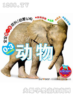 �����x��