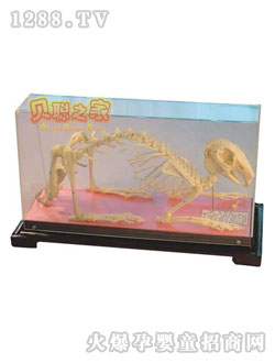 ؐ���ӹ�����(bi��o)���̾�