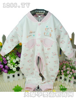 ANSEL�냺�B����