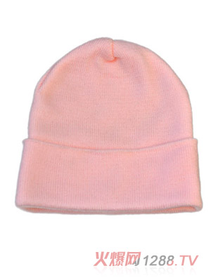 ��������PLAñ��